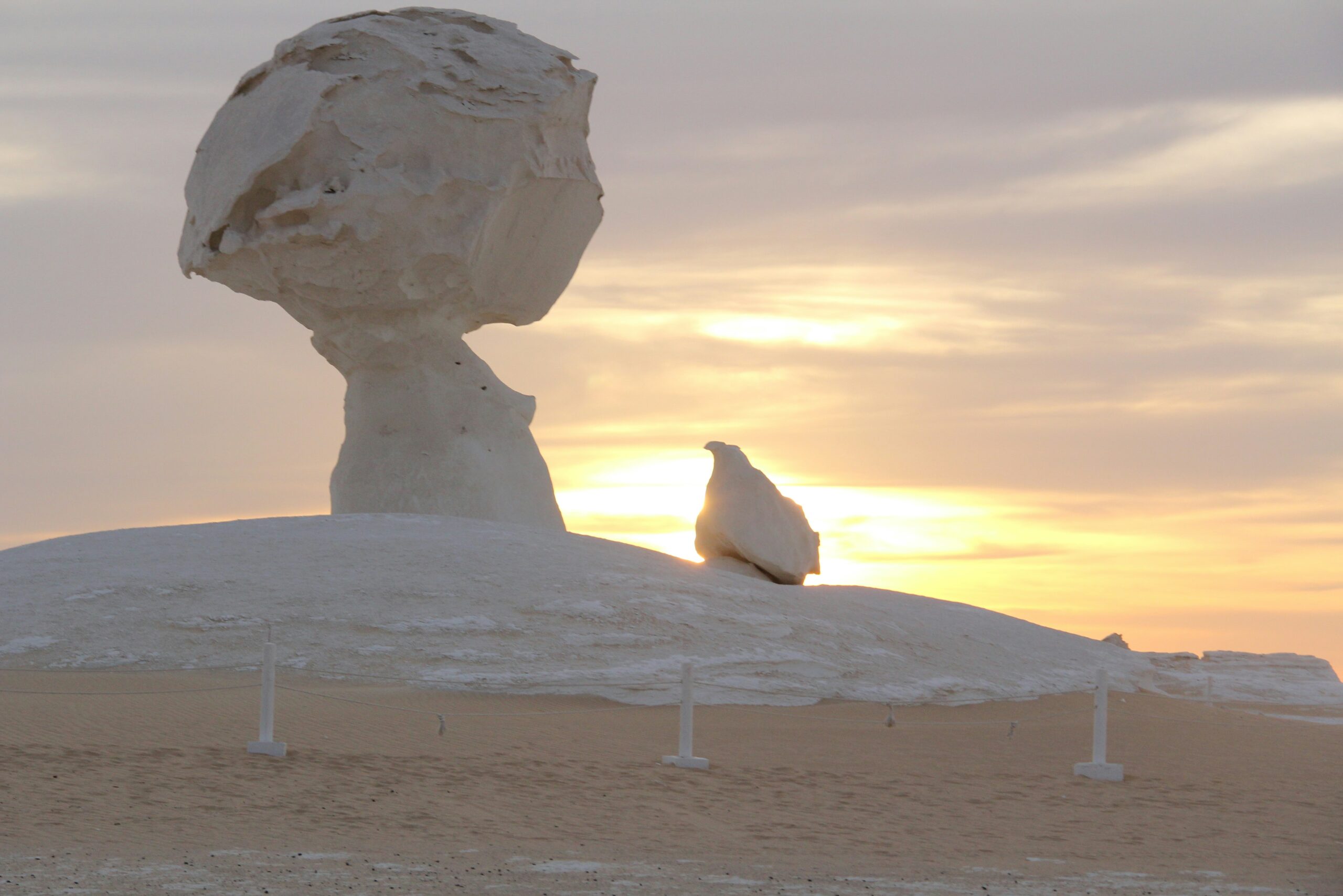 Lovely pearl tours baharia