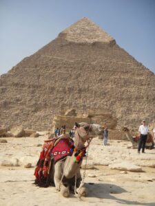 Cairo day trip with Lovely pearl tours