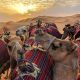 Cairo 2 days trip from marsa alam by car 